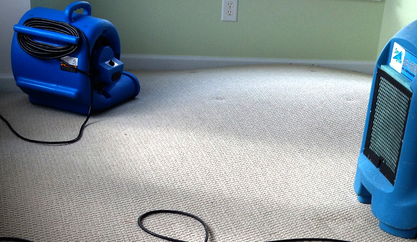 Flood Damage Carpet Recovery